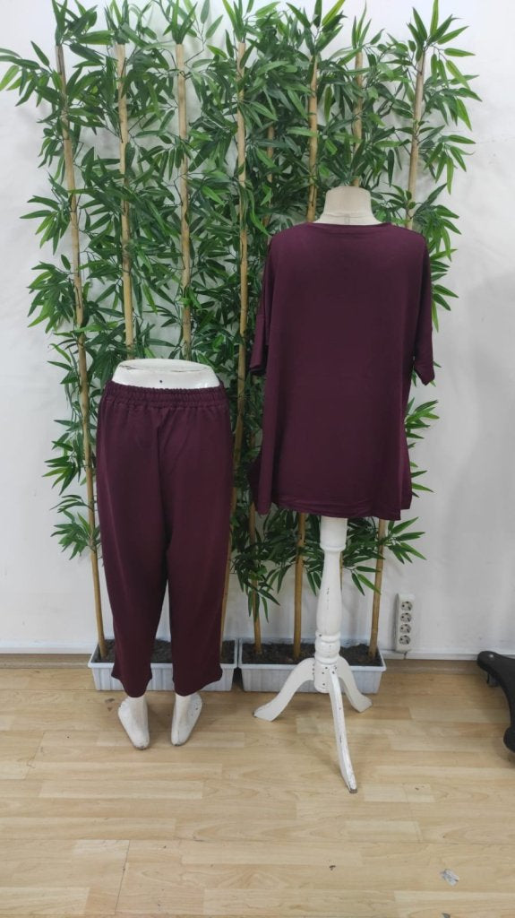 Set două piese damă, bluză din viscoză cu mânecă scurtă, guler rotund și pantaloni, tip două fire, 37756