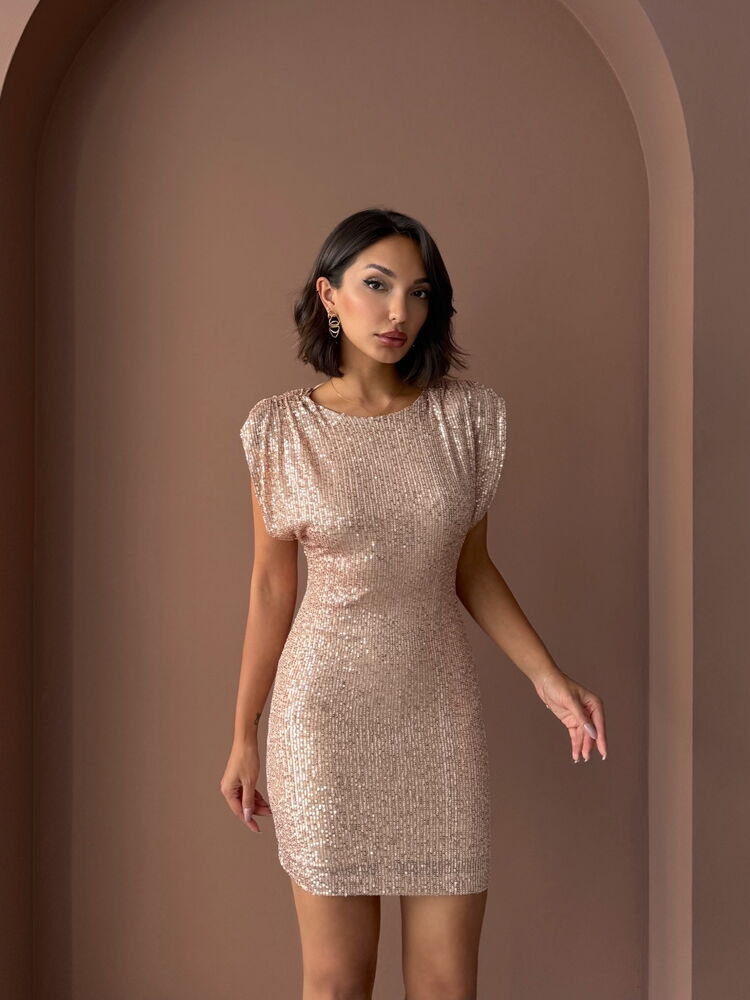 Topshow Shimmer Sequin Embellished, Backless, Mini Night Dress - Copper | F1867
